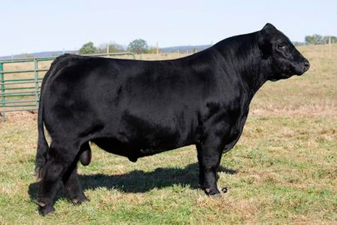 TASF Crown Royal 960C