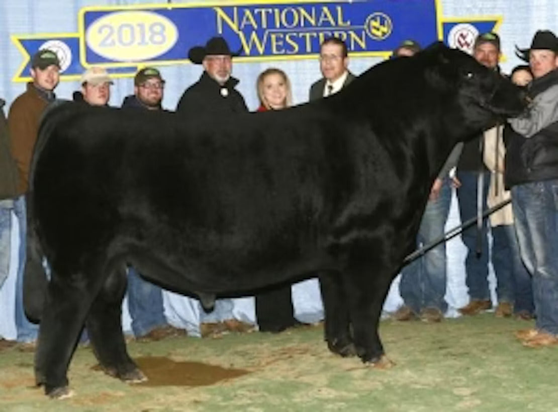SC Pay The Price C11 Bull Semen - Genesource