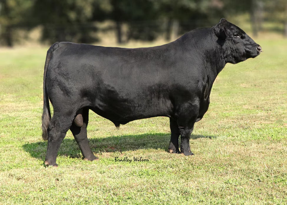 LLSF Vantage Point F398