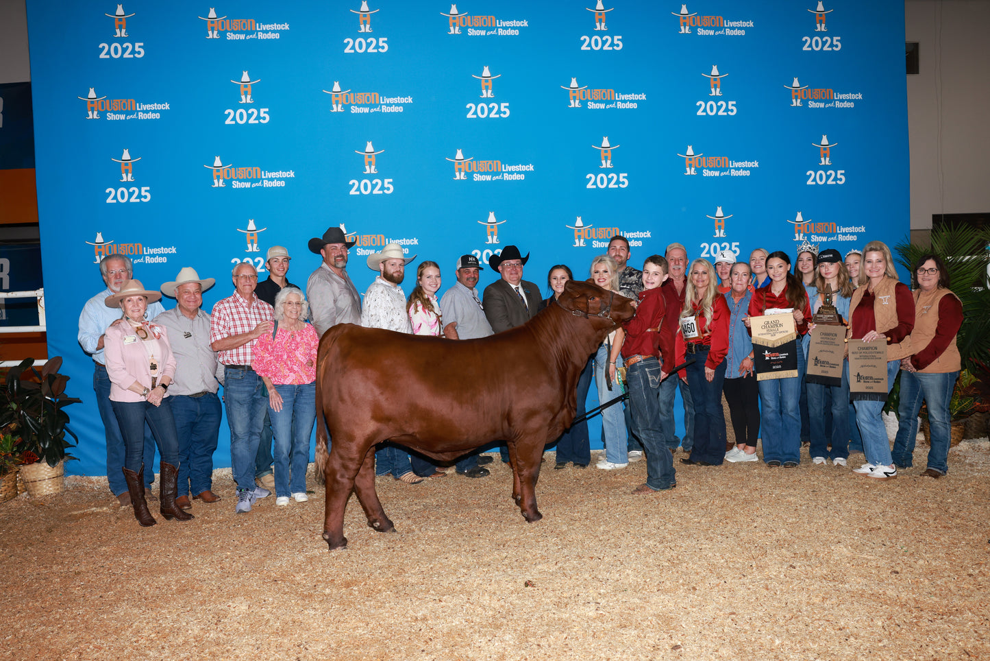 KK The Valedictorian Bull Semen * Genesource