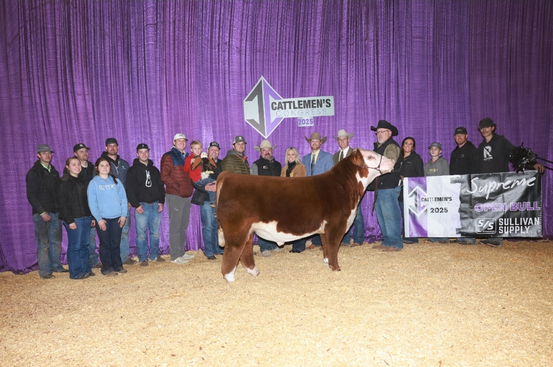 Silo H18 Brandston 2404 ET Hereford Bull - Genesource