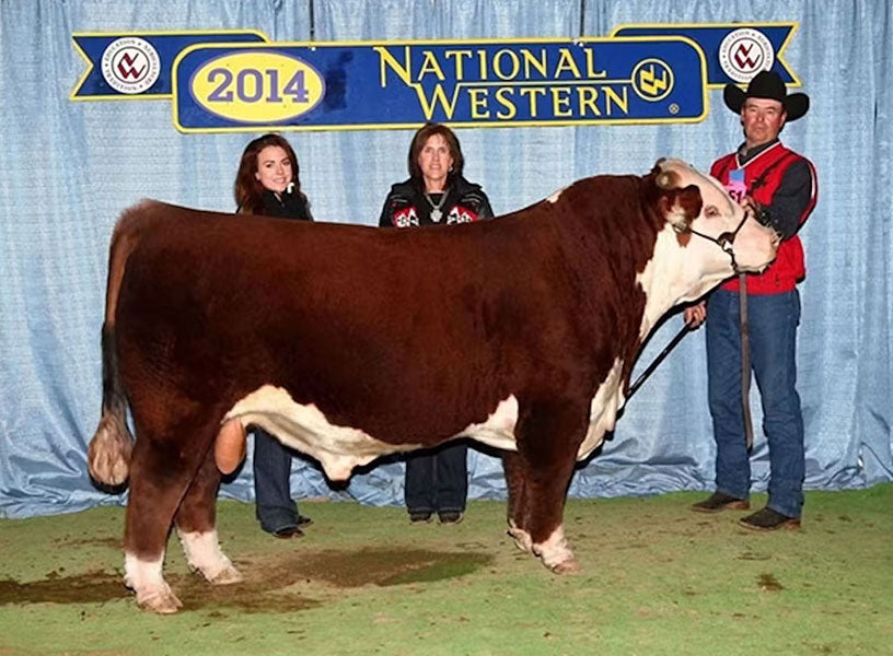 UPS Sensation 2296 ET Bull Semen * Genesource