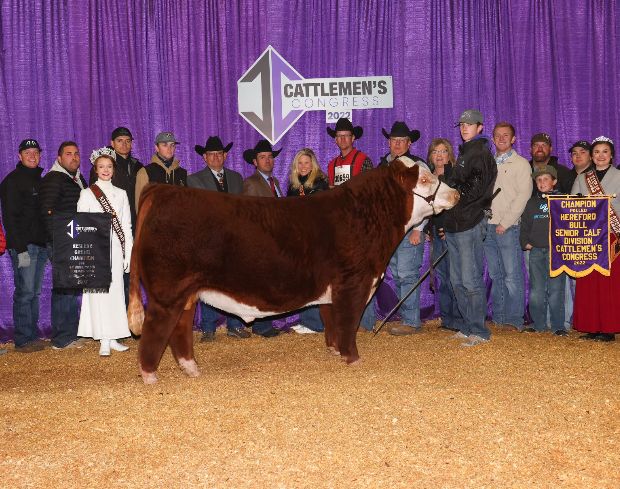 KJ TWJ 907E LIBERTY 159H ET Bull Semen * Genesource