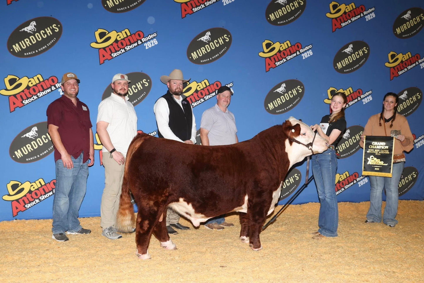 PINE CURTAIN HITTIN' DINGERS MINI Hereford Bull- Genesource