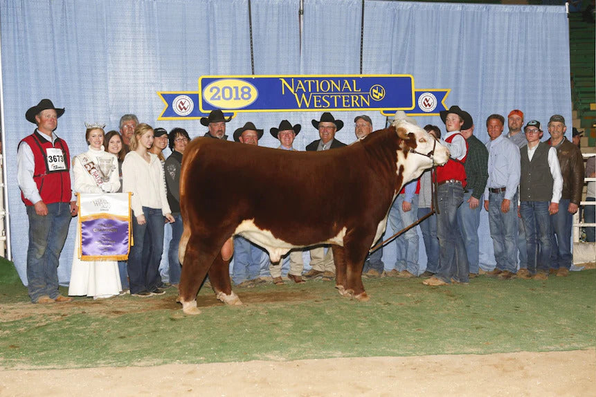 B&C Stock Option 6026D Bull Semen * Genesource