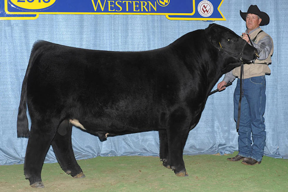 BOE Garth 40B