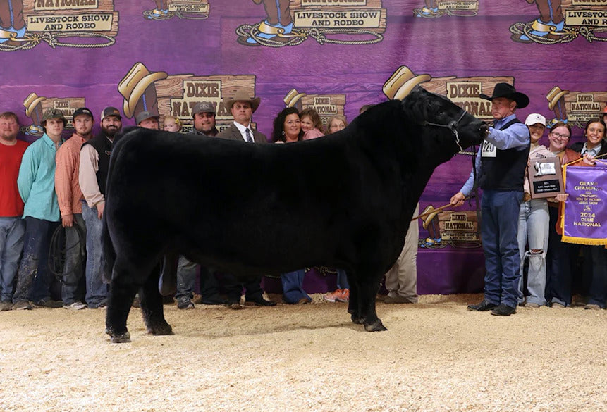 ACC Drago Bull Semen * Genesource