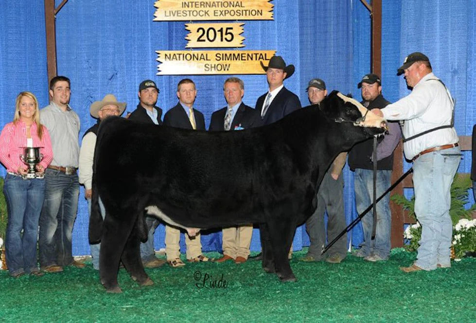 CAJS Blaze Of Glory Bull Semen * Genesource