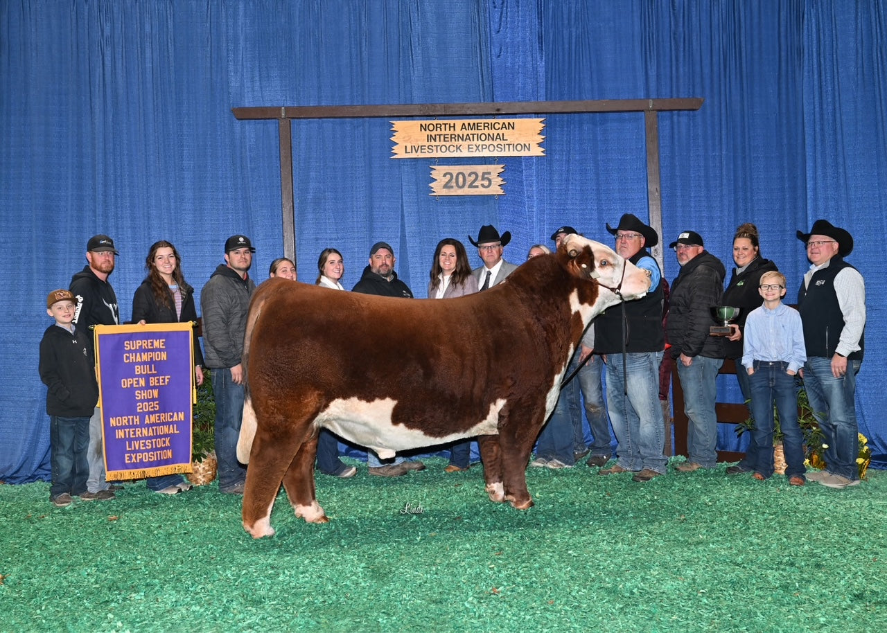 Silo H18 Brandston 2404 ET Hereford Bull - Genesource