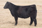 WEIS All Me 10F Bull Semen * Genesource