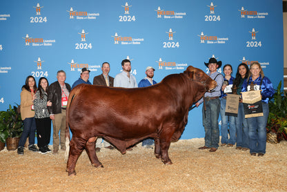 WR SAV Blake Beefmaster bull- Genesource