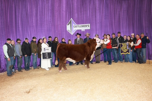 SMB KTRCC PENDLETON 420M Polled Hereford Bull - Genesource