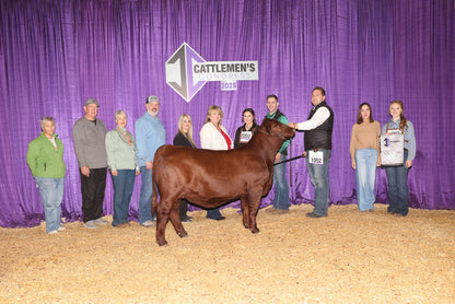 KK The Valedictorian Bull Semen * Genesource