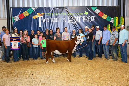 GKB BR AMBERLEIGH G029 ET- Dam of L120
