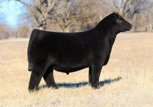 RJG Love Thy Neighbor 522N Maintainer Bull- Genesource