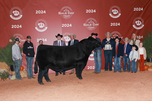 BNWZ Paisley 2143 Angus Bull - Genesource