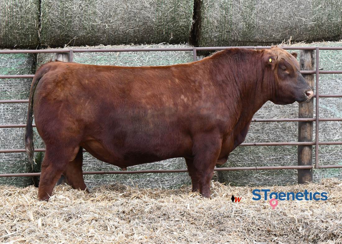 Six Mile Private Stock 32H