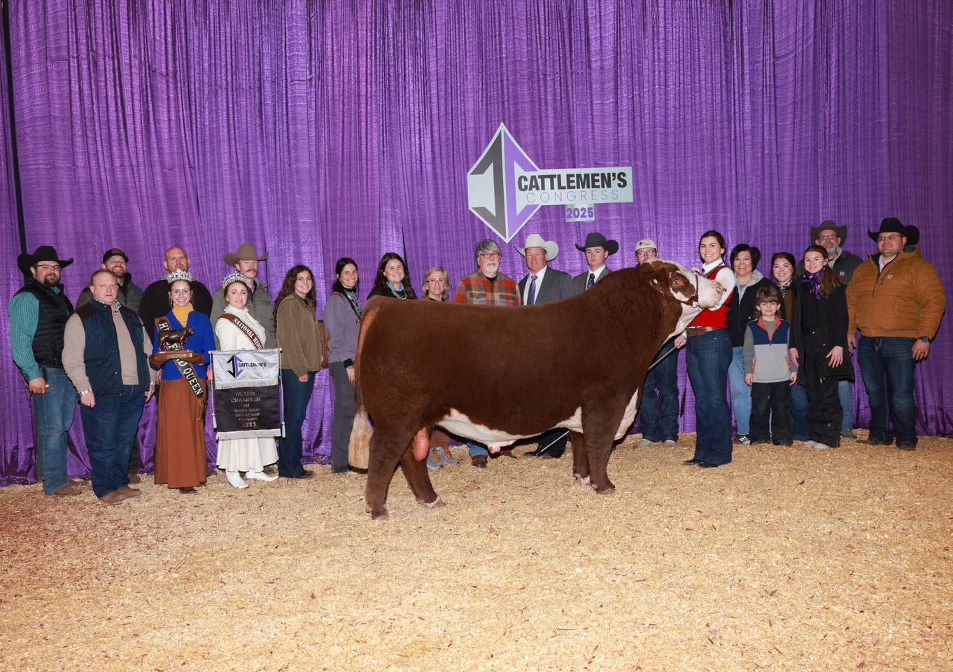 ASM 405B RED MAN 325L Polled Hereford Bull-Genesource