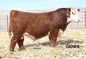 BAR JZ On Demand Bull Semen * Genesource