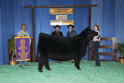 Dam of Nobility- RJ Horny 112J